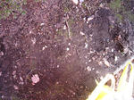 0110-3.JPG