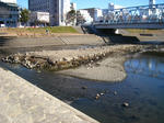 IMG_9752.JPG