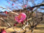 IMG_0118.JPG