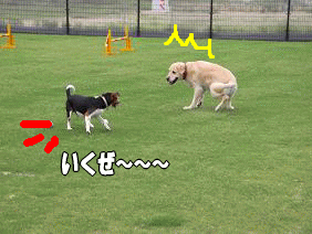 imagebi-chann.gif