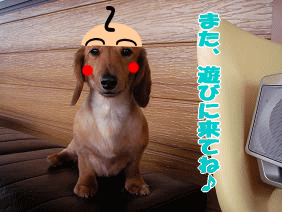 imagekatoura.gif