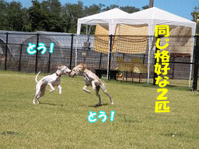 image8-10-3.gif