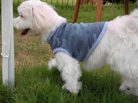 SANY0002.JPG