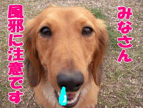 image9-11-9-1.gif