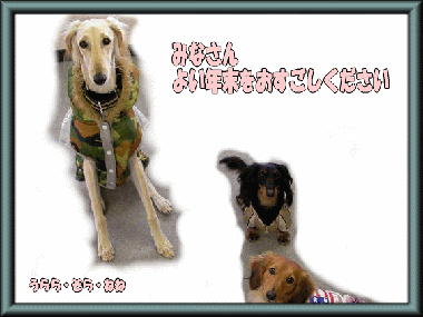 image1230b_p.gif