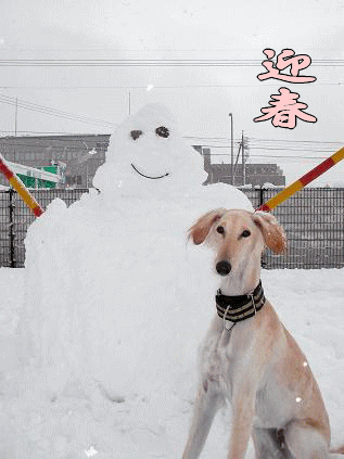 91a5f4d7gif