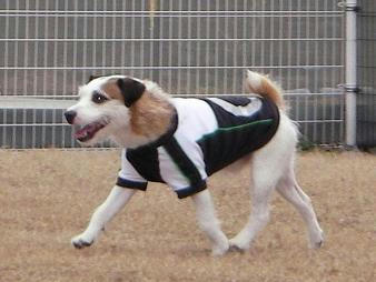 2210.JPG