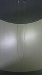 07968690.jpeg