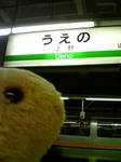 uenokapibara