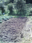 20090419101853.jpg
