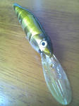 Image001.jpg