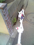 Image010.jpg
