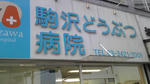 hospital.jpg