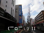 PC060019.jpg