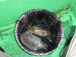 PC230107.JPG