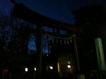 IMG_0075.jpg