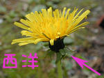 3f995512.jpeg