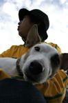 4185709_629845682_239large.jpg