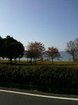 lakeBIWA.jpg
