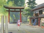 washi01.jpeg