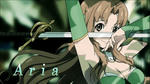 aria4.jpg