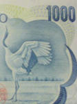 senba.jpg