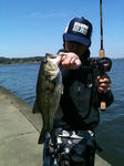 bass01.jpg