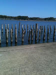 rangui.jpg