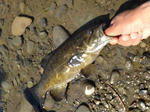 IMG_2435.jpg