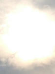 IMG_2442.jpg