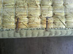 DCF_0237.jpg