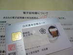 DCF_0368.jpg