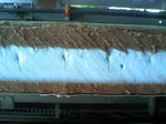 DCF_0381.jpg