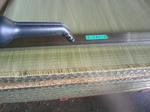 DCF_0387.jpg