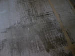 DCF_0123.jpg