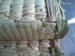 DCF_0124.jpg