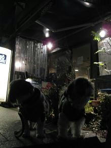 100_8525.JPG
