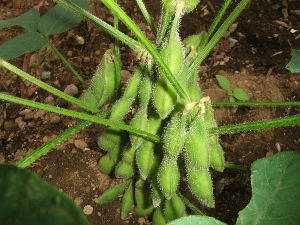 0707070071.JPG