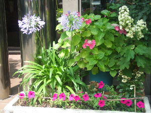0706270048.JPG