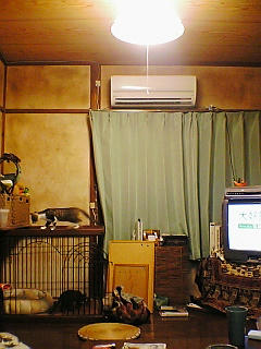 PA0_0173.JPG