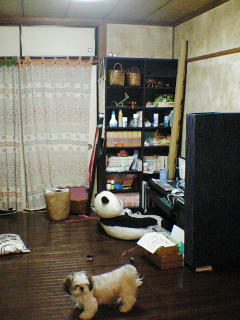 PA0_0174.JPG