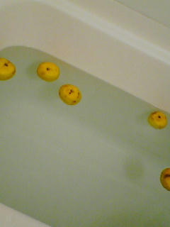 PA0_0222.JPG