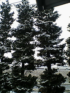 PA0_0246.JPG