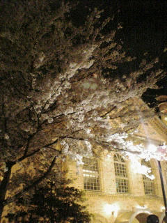 PA0_0331.JPG