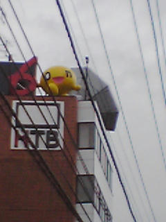 PA0_0335.JPG