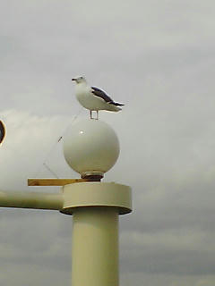 PA0_0341.JPG