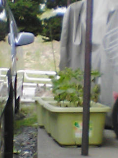 PA0_0391.JPG