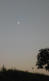 PAP_0144.JPG