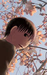20100426.jpg