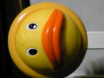 SH3C0083.JPG
